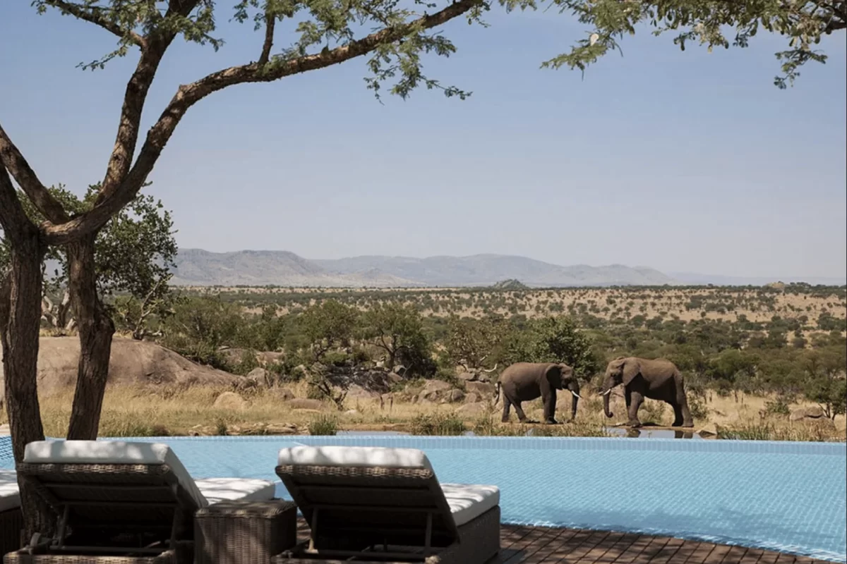 FourSeasonSerengeti2